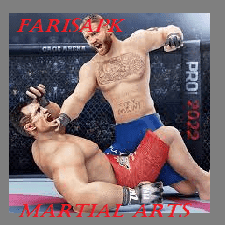 martial arts fighting stance mod apk