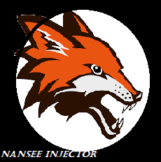 Nansee injector